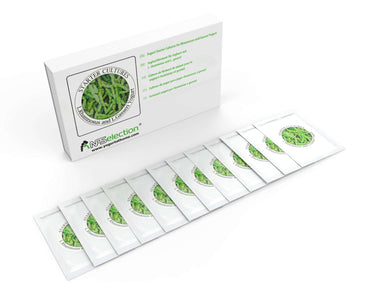 Pack of 12 Freeze-Dried Sachets for Lactobacillus Rhamnosus and L.Gasseri Yogurt